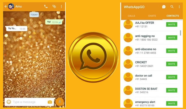 Perbandingan Whatsapp Gold Dengan Whatsapp Biasa
