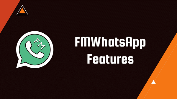 FM Whatsapp mod