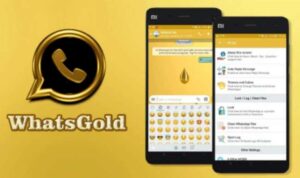Download Whatsapp Gold Apk (Official) Anti Banned Terbaru