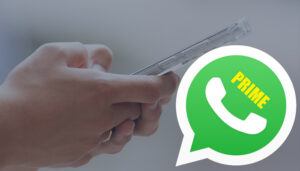 WhatsApp Prime (WA Prime) Apk Terbaru 2023 Asli Aman